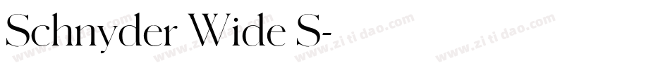 Schnyder Wide S字体转换